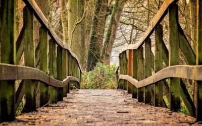 Hvad er Imago terapi?