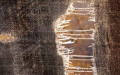 Årsager til skilsmisse