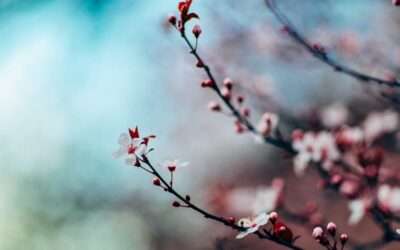 Årlig evaluering af parforholdet