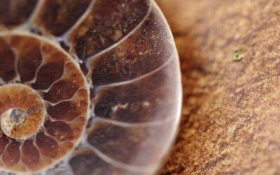 Mindfulness meditation