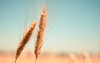 Han rører ikke ved mig længere