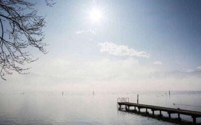 8 grunde til at sætte tempoet ned i vigtige samtaler