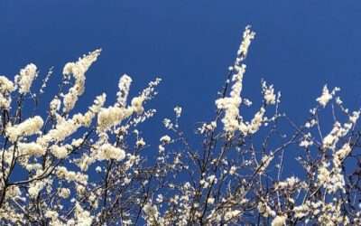 Det er rigtig vigtigt at værne om søvnen