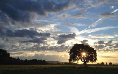 Utroskab – det kan det gøre ved dig